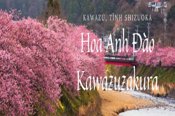 TOKYO – KAWAZU Lễ hội Hoa Anh Đào Nở Sớm– NARITA 5N4Đ - Siêu Tiết Kiệm – Visa Đơn Giản