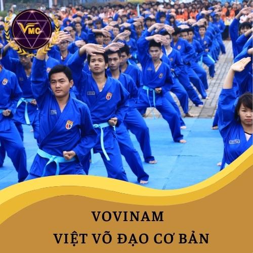 Khóa học Vovinam – Việt Võ Đạo cơ bản